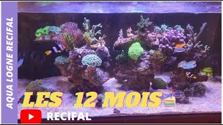 Aquarium RECIFAL Les 12 MOIS DU BAC [upl. by Kurtz219]