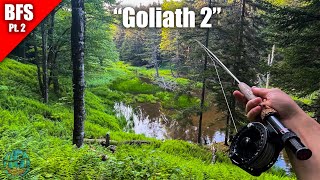 Fly Fishing the Wilderness NEW PB BROOK TROUT  Big Fish Stories Pt 2 quotGoliath 2quot [upl. by Salema970]