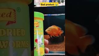 Bad food oscar fish Oscar fish feeding  shortsfeed shortsviral short shorts [upl. by Joellyn]