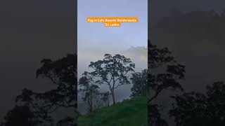 bandarawela srilanka visitsrilanka campinglyfe 0775432239 [upl. by Lamee814]