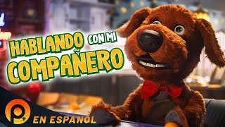 HABLANDO CON MI COMPAÑERO  PELICULA COMEDIA EN ESPANOL  PELICULAS [upl. by Soutor432]