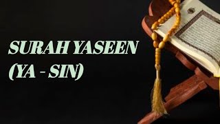 SURAH YASEEN YASIN PART 1154 [upl. by Lyrahs]