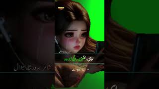 Ay Armanjan salgai salgai zhwndonaHaidrkhilji duet pashtofamoussongtoorpaike unfrezzmyaccount [upl. by Dorlisa]