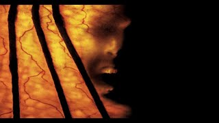 Jeepers Creepers 2 Full Movie Facts And Review  Ray Wise  Jonathan Breck [upl. by Herminia]