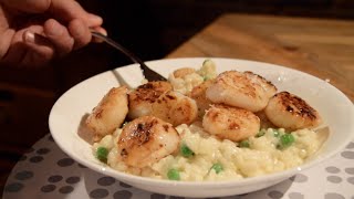 Creamy Risotto with Seared Scallops [upl. by Jule4]