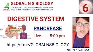 Digestive system Lecture 6 [upl. by Ennayelhsa]