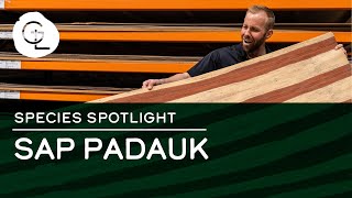 Padauk Wood Veneer Sheets [upl. by Marcin149]