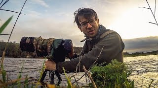 A Christmas Tail  Gitzo Fluid Gimbal  Wildlife Photography Review [upl. by Alaek]