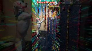 Om ganeshay namah 🙏video sorts viralvideo Ganpati Bappa 🙏🙏🙏 [upl. by Vikki631]