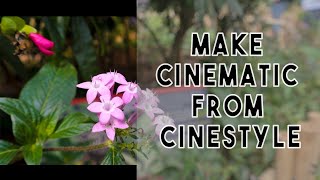 Steps How amp Why to install Cinestyle  Flat Color Profile for Canon Hindi How to make Cinematics [upl. by Susan913]