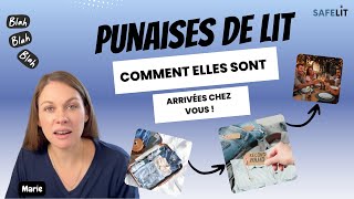 Comment les punaises sont arrivées chez vous [upl. by Iinden]