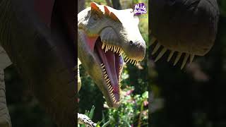 Dinosaurs educational for toddlers  Dinosaurs for preschoolers [upl. by Jimmy333]