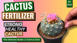 Grow Better with Fertilizer Tips Tricks and Must Know  Cactus Care Ep 05 [upl. by Adnilrev]