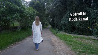 A Stroll In Kodaikanal [upl. by Lepley]