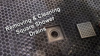 Square Shower Drain Removal and Cleaning [upl. by Semreh]