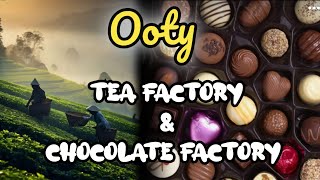 Ooty Tea Factory Malayalam Video Chocolate Factory Tea MuseumOoty Tourist PlacesMalayalam [upl. by Oribelle]