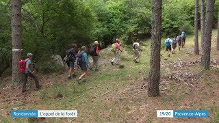 HautesAlpes  les randonnées itinérantes quotRetrouvancequot affichent complet depuis 25 ans [upl. by Anne-Corinne]