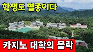 카지노 학과도 사라졌다 ☆ 신입생이 없어 문닫은 대학교 [upl. by Uria]