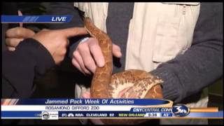 Spring break activities at Rosamond Gifford Zoo [upl. by Luttrell]