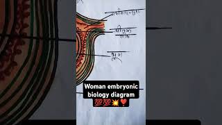 biology diagram class 12 th important woman embryonic stem bio class12  exam imp💯💯💥💥♥️♥️❣️❣️ [upl. by Dorrahs]