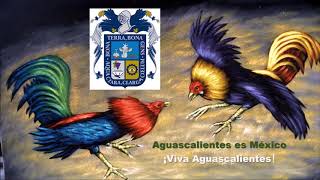 Aguascalientes Pelea de Gallos en San Marcos Juan S Garrido [upl. by Lolita]