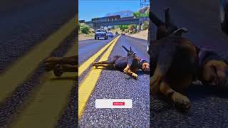 Dog Chop teach us true meaning of love by saving a cat  gta5 shorts trending viralvideo love [upl. by Nonnag]