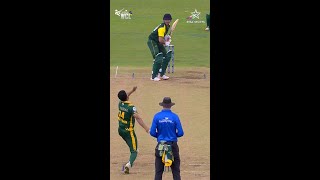 WCL 2024  Sarel Erwee wins it for South Africa Champions with a brilliant 105  WCLOnStar [upl. by Nonnah]