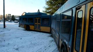 Abandoned buses in West Seattle Oregon St and Glen Way [upl. by Katusha]