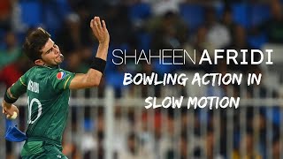 Shaheen Afridi Bowling Action  In Slow Motion  2021  Tarush Cricket [upl. by Alrac]