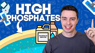 High Phosphates In Pool  What To Do About It [upl. by Ihn]