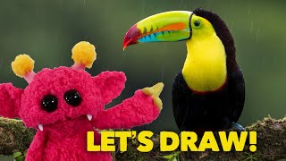 Toucan  How to Draw with Hubble  Nimalz Kidz [upl. by Juno]