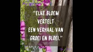 bijen en kruiden affirmaties quotes bijen natuurmonumenten [upl. by Alejoa]