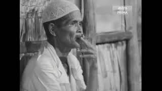 FILM P Ramlee Pendekar Bujang Lapok 1959 FULL MOVIE [upl. by Mraz]