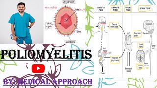 Poliomyelitis  Polio Virus  Virology [upl. by Derna]