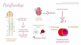 Klasifikasi Patofisiologi Hipertensi  Tekanan Darah Tinggi [upl. by Atined]