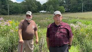 Bobwhite Quail Released [upl. by Bevvy513]