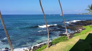 Kona Reef A22  Ocean front condo with amazing views from the lanai [upl. by Coral]