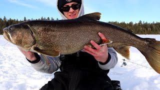 ICE FISHING FOR MONSTER LAKE TROUT  Northern Ontario [upl. by Nynahs682]