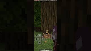 VeinMiner  Treecapitator in Minecraft Bedrock  Addon Edds VeinCapitator bedrock mcpe mods [upl. by Adalie67]