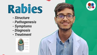 Rabies virus  Management of a dog bite  Community medicine  Microbiology bangla lecture [upl. by Aym365]