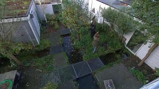 Scandinavische tuin  EIGEN HUIS amp TUIN [upl. by Aikemit]