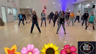 Jerusalema Line Dance Demo [upl. by Jeanne402]