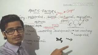 Major abiotic factors  Light and soiledaphic factor organisms and populations [upl. by Mauceri424]