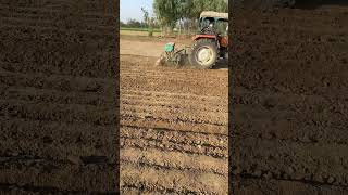 Wheat 🌾seed sowing the process of planting wheat seeds in prepared soil winterwheat 2024 villa [upl. by Mohkos]