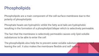 STRUCTURE OF THE CELL MEMBRANE For AQA OCR and Edexcel A level Biology [upl. by Adnopoz]