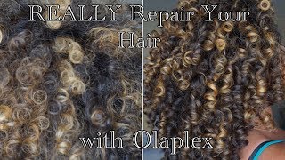 OLAPLEX Use Olaplex to REALLY Repair Curly Hair curltraining [upl. by Templa250]