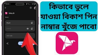 কিভাবে ভুলে যাওয়া বিকাশ পিন নাম্বার খুঁজে পাবো to find forgotten bkash pin 2024 বিকাশ পিন খুঁজুন [upl. by Yffat]