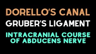 Intracranial course of abducent nerve Dorellos canal Grubers ligament [upl. by Elleuqar280]