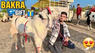 BAKRA mila GIFT main 😍 BHOPAL BAKRA MANDI VLOG  AL AAMIR KHAN [upl. by Assirahs599]