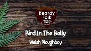 Bird In The Belly  Welsh Ploughboy Live At Beardy Folk Festival 2024 [upl. by Trant]